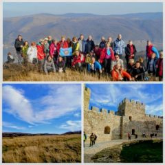 GridArt_20250930_195329343_copy_600x600~2