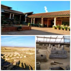 GridArt_20250930_195536127_copy_600x600~2