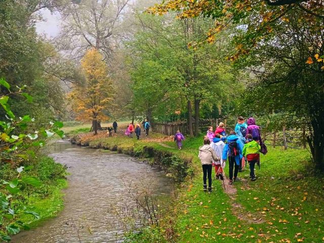 viber_image_2025-10-23_08-47-05-298