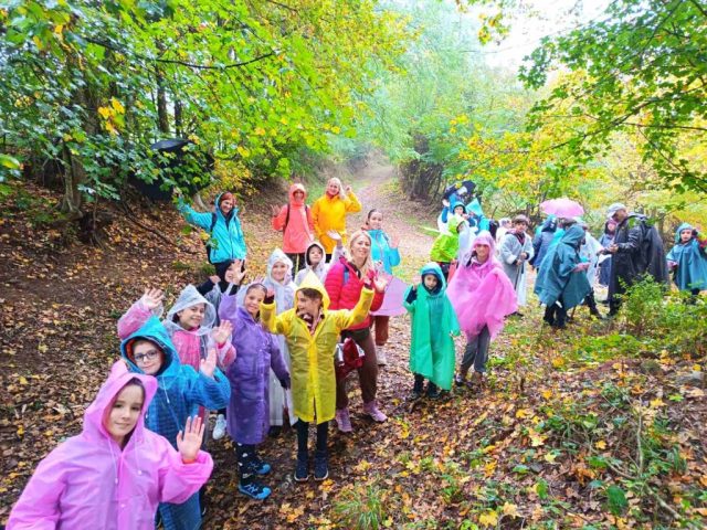 viber_image_2025-10-23_08-47-05-331