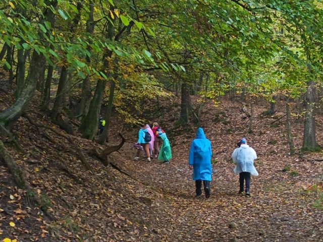 viber_image_2025-10-23_08-47-05-361