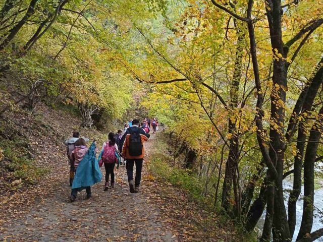 viber_image_2025-10-23_08-47-05-389