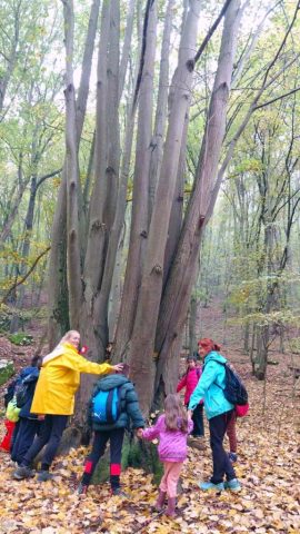 viber_image_2025-10-23_08-47-38-090