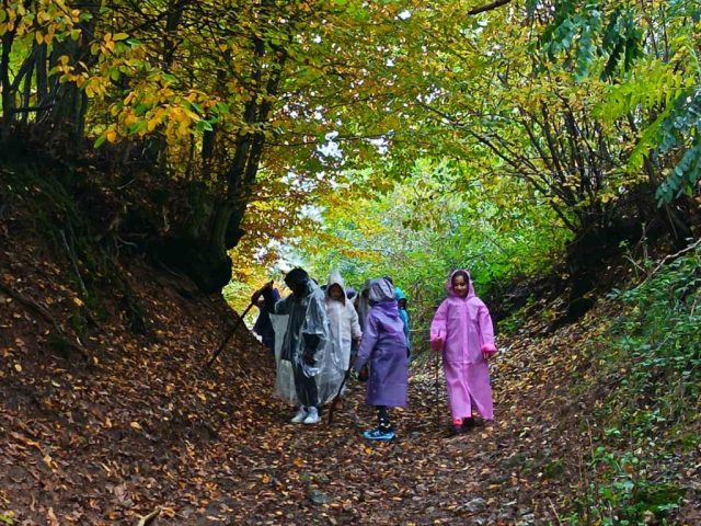 viber_image_2025-10-23_08-48-26-641