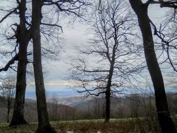 07.03. Fruška Gora – osmomartovski susret planinara 2026