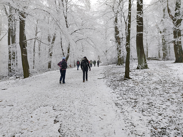 18.01. Avala – Ralja,  Šuplja stena, Ripanj, Koviona