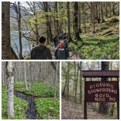 crna-gora-izlet-prvi-maj-2026-zeleznicar-mira-prokic-(3)