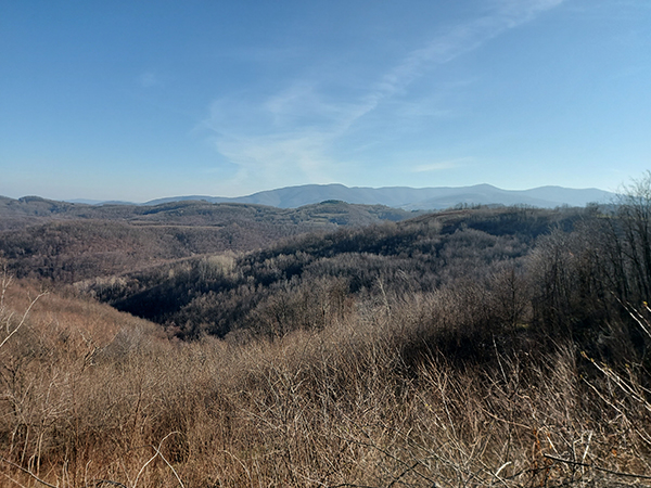 22.02. Klokotič – Ostrvica