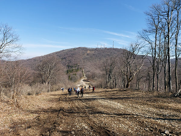 1.3. Rudnik – od Ostrvice do Cvijićevog vrha