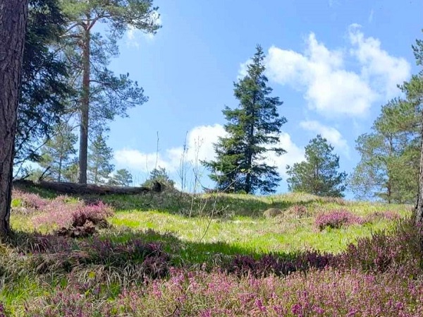 13.04.Planinarski Vaskrs na Maljenu: Staze, tradicija i druženja