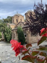 IMG_1795