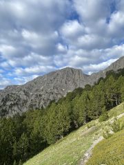 IMG_5957