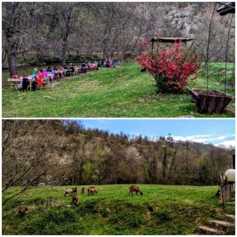 izlet-kanjon-reke-gradac-zeleznicar-mira-prokic(5)_copy_600x600~2