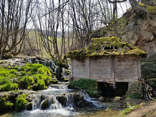 maljen-taorska-vrela-cover