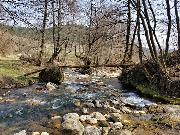 maljen-taorska-vrela3