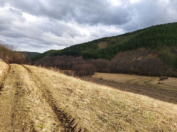maljen-taorska-vrela6