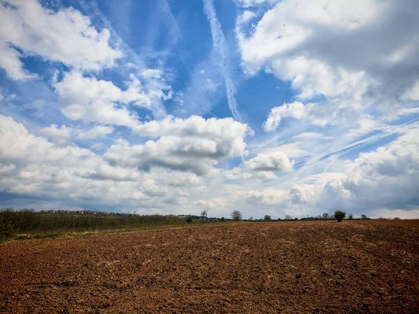 25.04. Železnik – Izvor Svete Petke – Ostružnička šuma