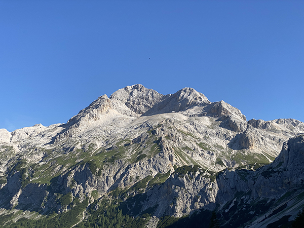 IMG_8261