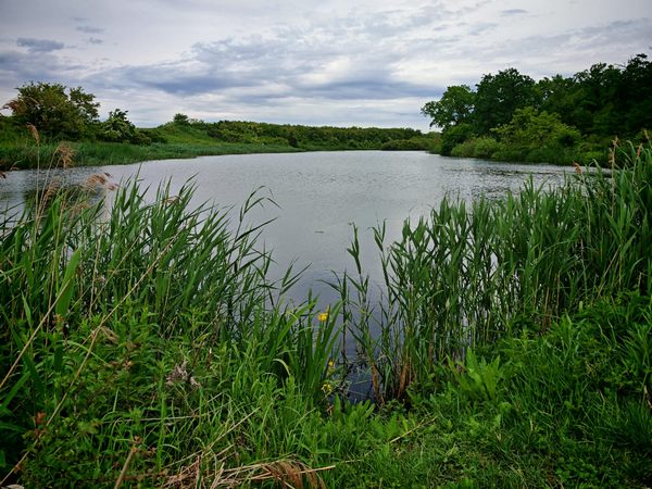 30.05.  Bečmen-kružna staza oko jezera Surčinovica-jezero Tvrdenjava-Surčinska petlja