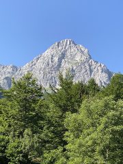 IMG_0314