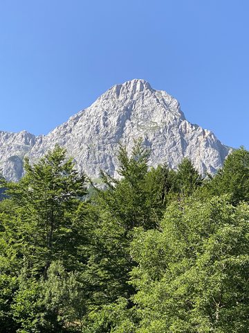 IMG_0314