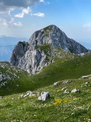 IMG_0368