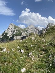 IMG_0384