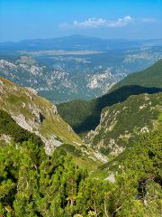 IMG_0385