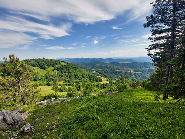 bobija-ljubovidja-cover