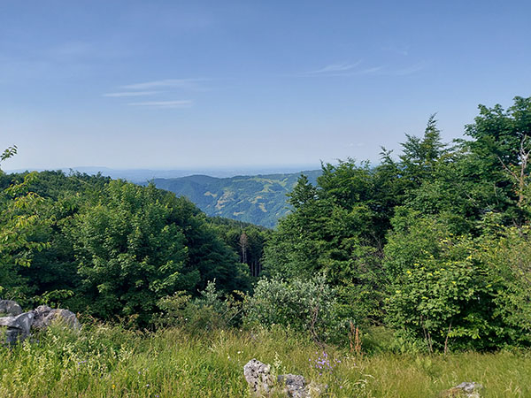 bobija-ljubovidja2