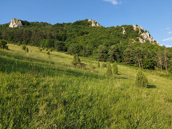 bobija-ljubovidja3