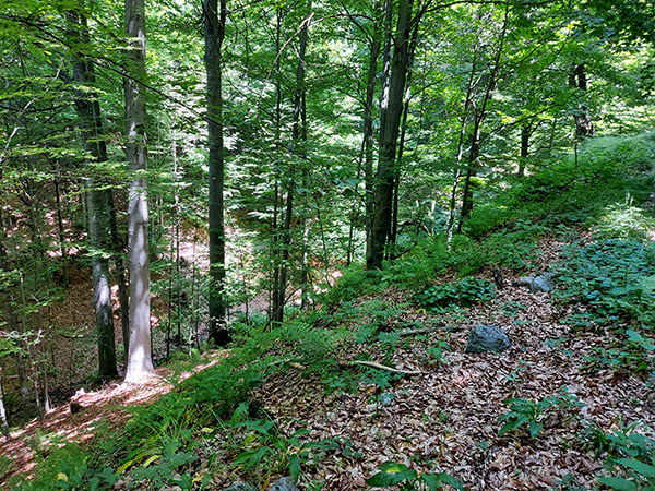bobija-ljubovidja4