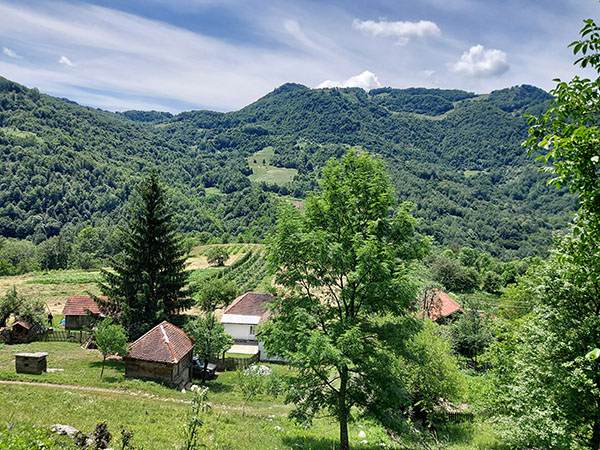 bobija-ljubovidja5