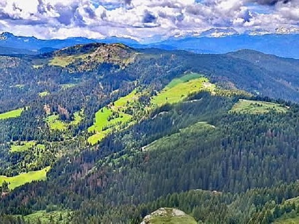 ČAK001