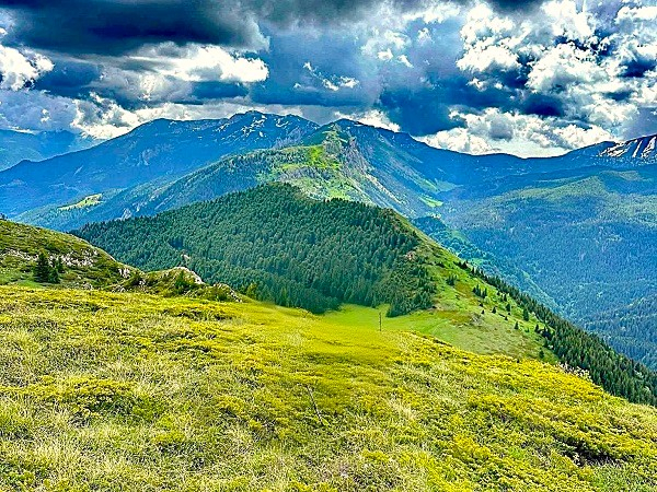 ČAK002