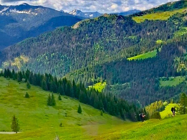 ČAK003