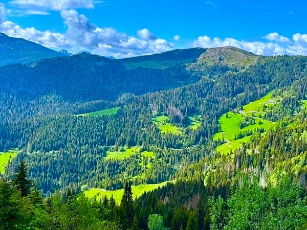 ČAK005