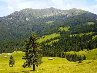 ČAK007