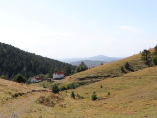 Divčibare – Ravna gora 1