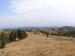 Divčibare – Ravna gora 2