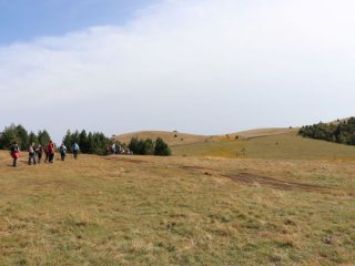 Divčibare – Ravna gora 4