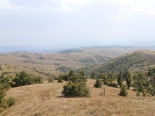 Divčibare – Ravna gora 6