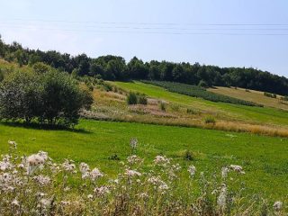 AL05