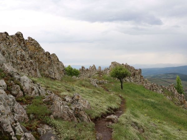 Osogovske planine 8