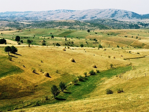 PŠ01
