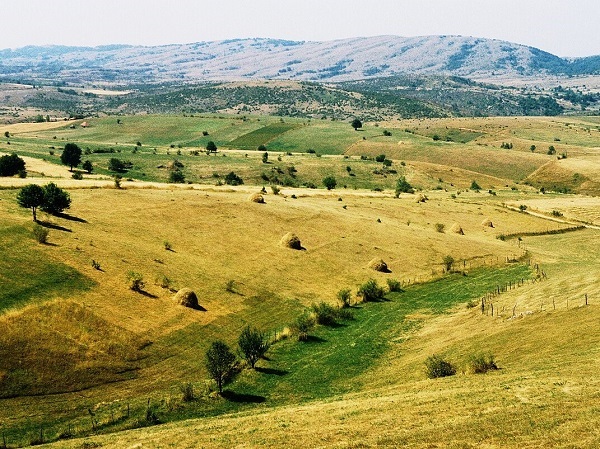 9 – 11. 9. 🐎 Sloboda Peštera: Divlji konji Lise, ptice 🦅 i svetinje Raške