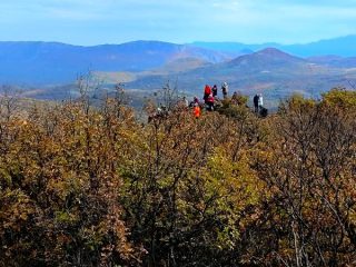 RTB016
