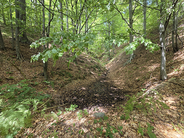 gucevo3