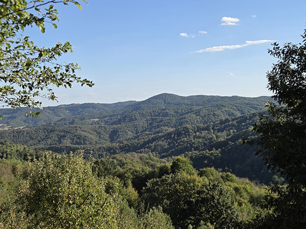 gucevo4