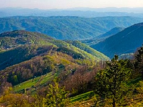 MAČK01